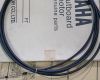 day-ga-so-cano